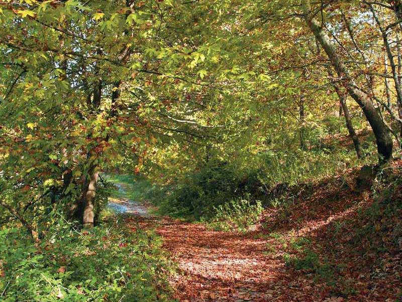 Natuur omgeving Veria