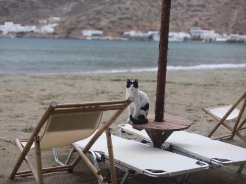 sifnos kat sifnos strand